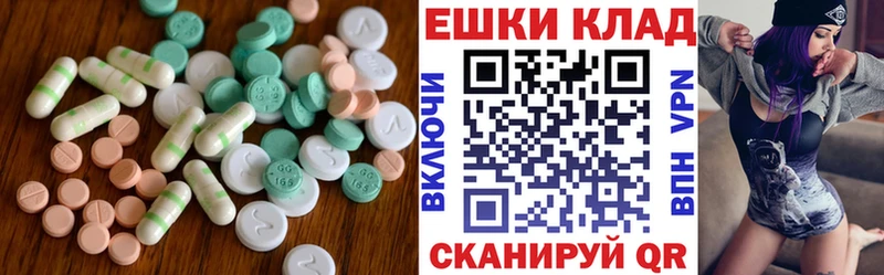Ecstasy Philipp Plein Чита