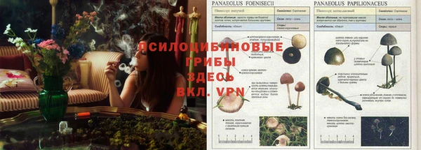 мет Наволоки