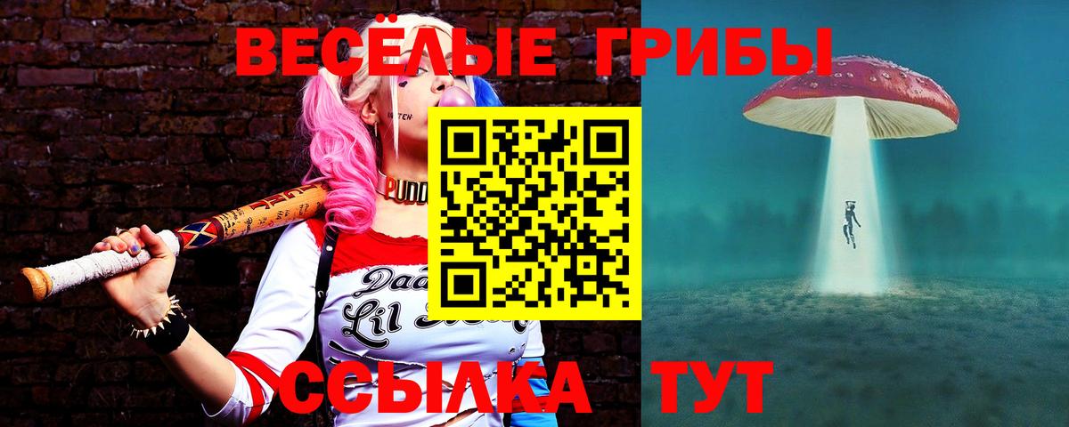 Галлюциногенные грибы Psilocybine cubensis Чита