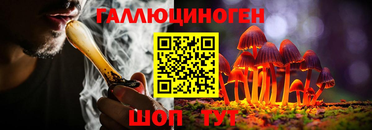Галлюциногенные грибы Psilocybe  Галлюциногенные грибы Psilocybe  Чита 