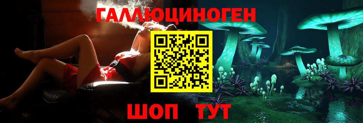 Чита  Галлюциногенные грибы Psilocybine cubensis  Вход с VPN 